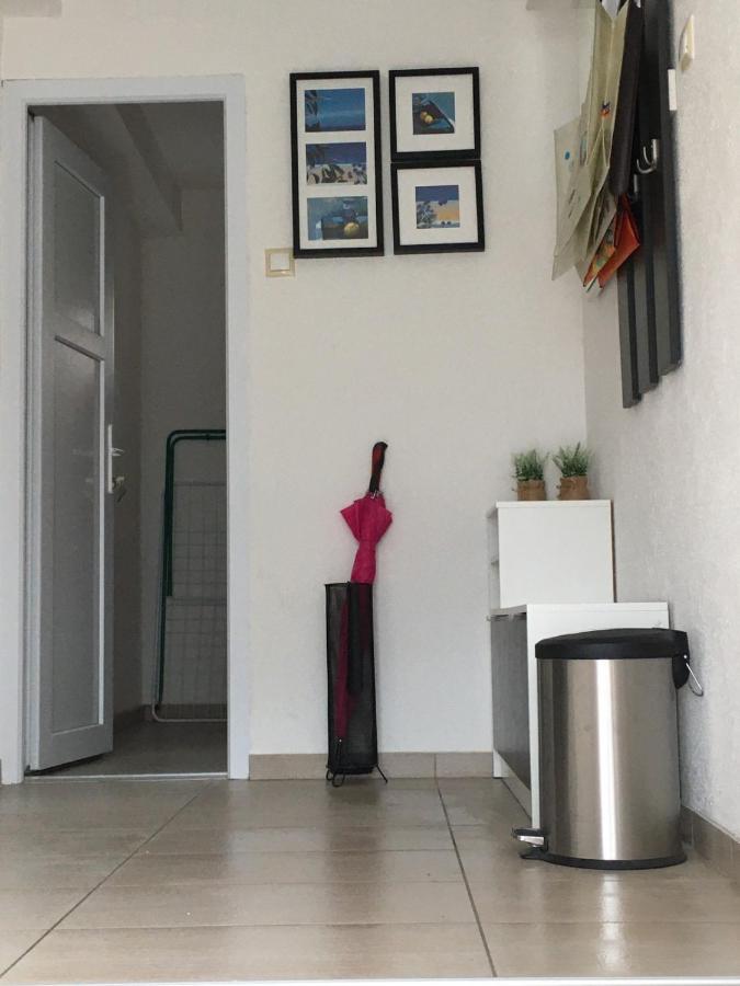 Luxury Apartment In The Heart Of Яйце Екстер'єр фото